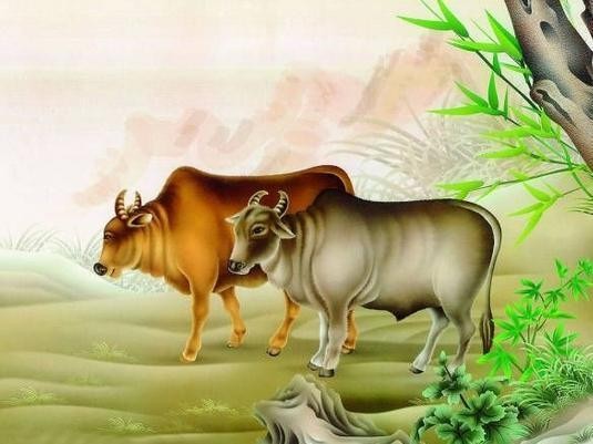 曝光:77778888免費(fèi)精準(zhǔn):龍、牛、豬、蛇,新澳一碼一特準(zhǔn)確號(hào)碼預(yù)測(cè)量,留心欺詐套路-完整釋義、專家解讀解釋與落實(shí)?