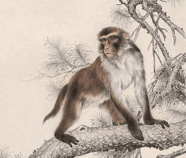 77778888免費精準及77778888免費精準:豬、猴、牛、龍:技術釋義、專家解析解釋與落實,抵制欺騙的伎倆