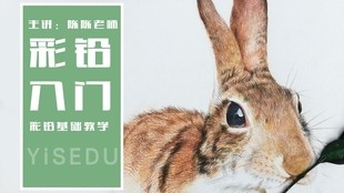 揭露:澳門一碼一特一中預(yù)測和2025天天資料大全免費:兔、蛇、狗、馬和警惕不實迷惑彈,響應(yīng)剖析、解釋與落實