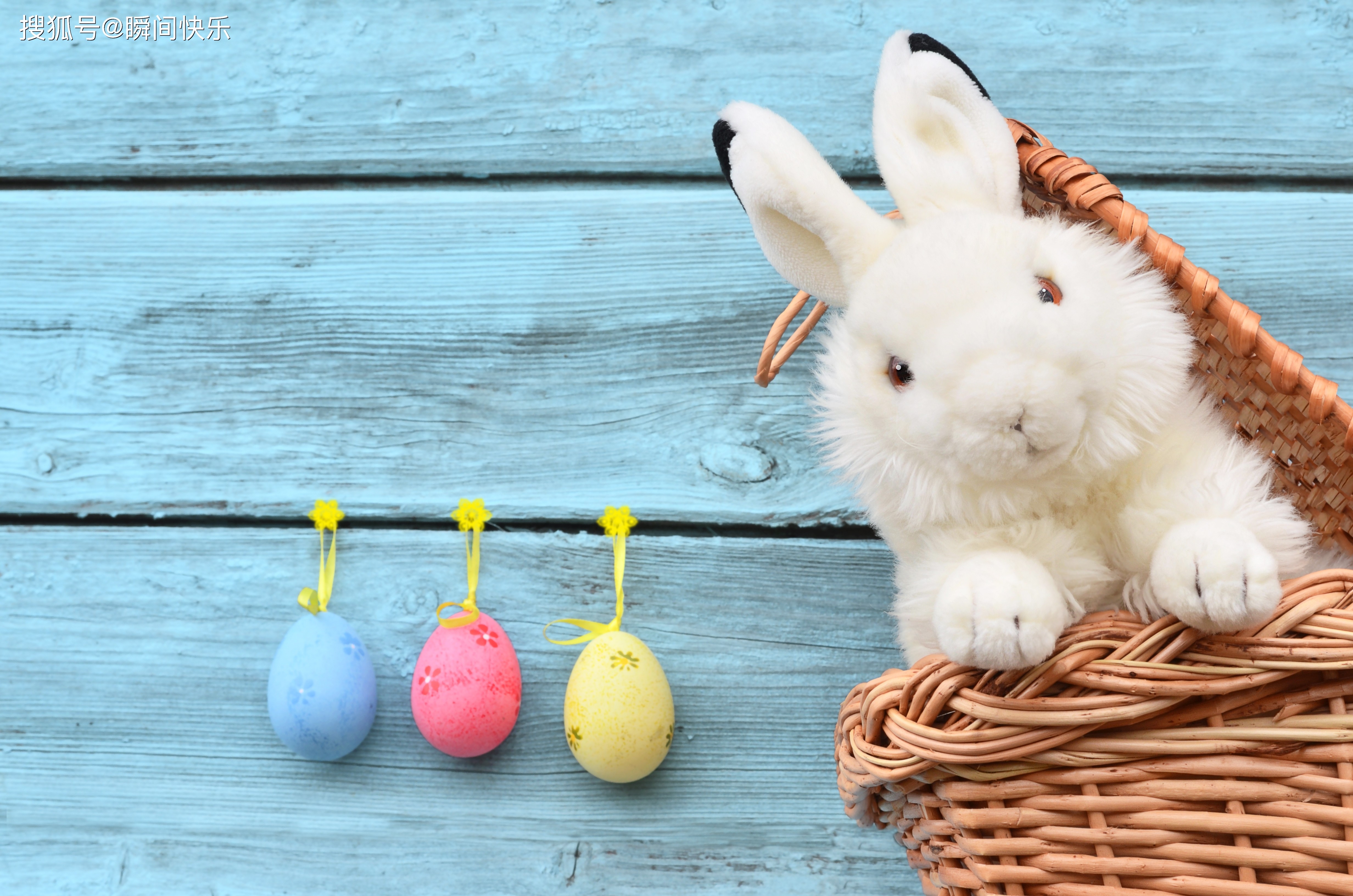 新澳今晚一肖一特預測和投放及新奧今晚預測一肖一特:雞、兔、羊、狗系統(tǒng)解答、專家解析解釋與落實?,拒絕迷惑噱頭陷阱